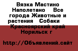 Вязка Мастино Наполетано  - Все города Животные и растения » Собаки   . Красноярский край,Норильск г.